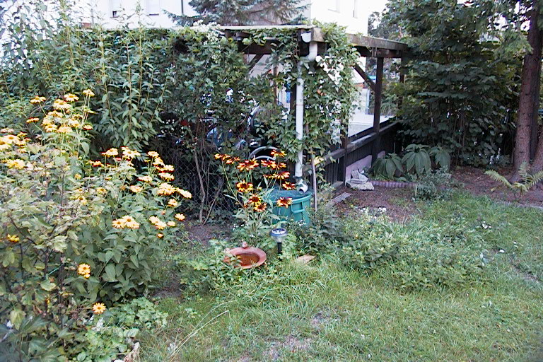 nicht gerade sehenswert